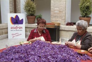 پاک کردن زعفران توسط مردم اسپانیا
